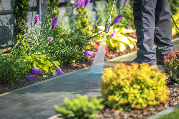 Why Choose Our Pressure Washing Services in Illinois