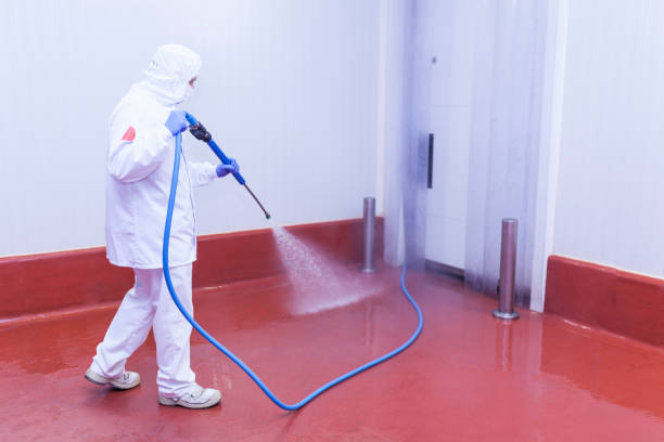 Best Playground Equipment Cleaning  in Jonesboro, IL